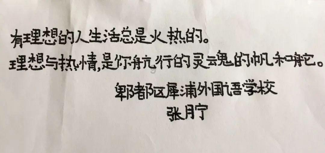 小猫钓鱼开船版最新版下载